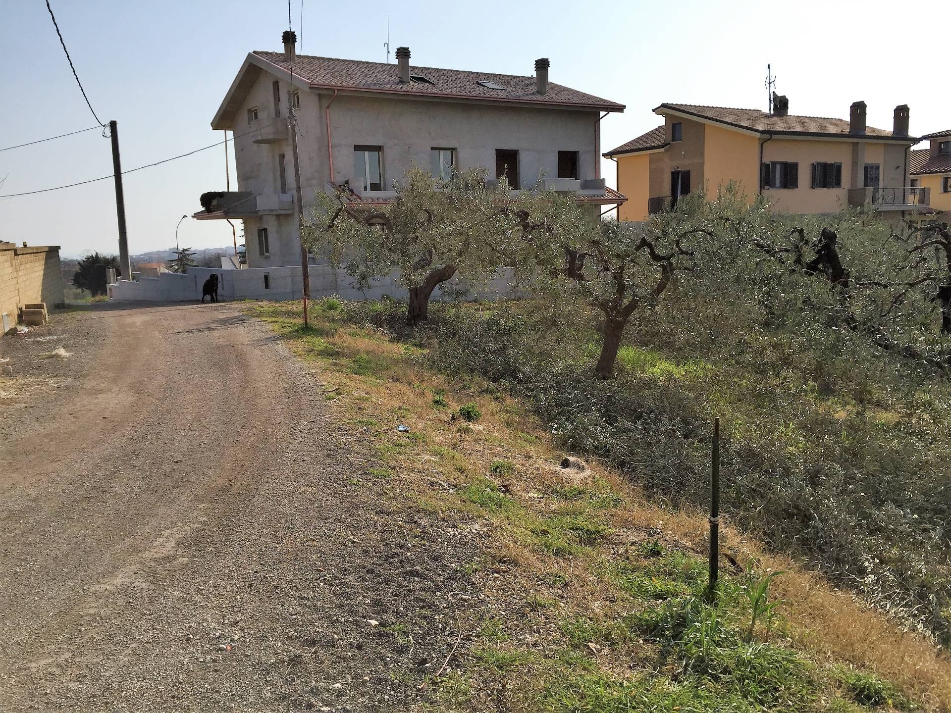 Terreno edificabile in vendita a Vasto (CH)