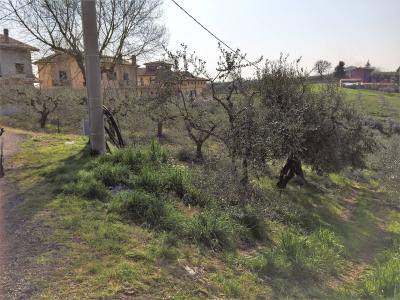 Terreno edificabile in vendita a Vasto (CH)