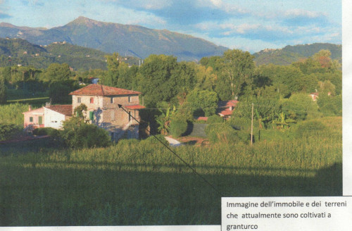Rustico in Vendita a Pietrasanta