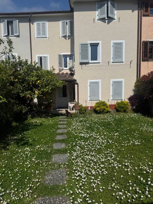 for Sale to Seravezza