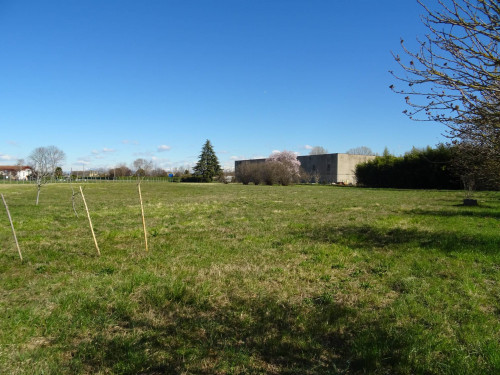 Terreno Artigianale/Industriale