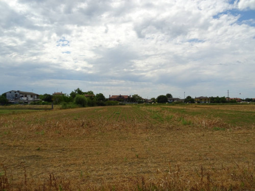 Terreno agricolo in vendita a Carlino (UD)