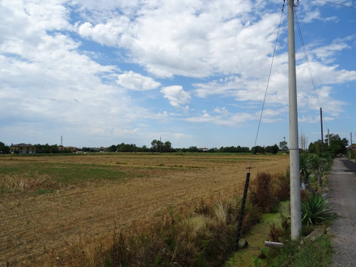 Terreno agricolo in vendita a Carlino (UD)