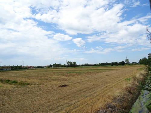 Terreno agricolo in vendita a Carlino (UD)