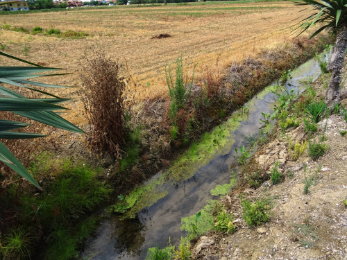 Terreno agricolo in vendita a Carlino (UD)