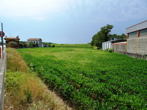 Terreno edificabile in vendita a Gonars (UD)