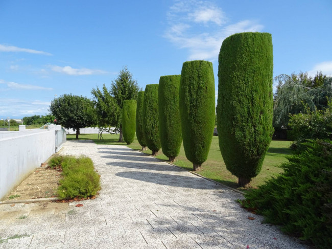 Villa in vendita a Gonars (UD)