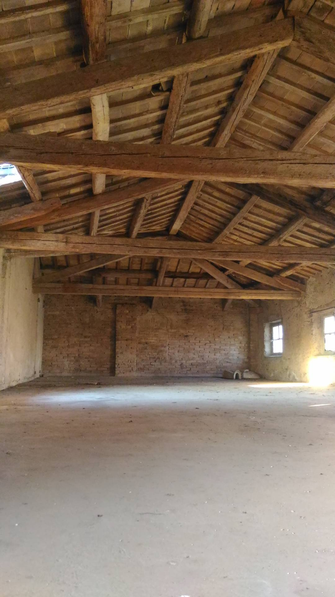 Rustico - Cascina POZZUOLO DEL FRIULI vendita  Carpeneto  il cottage