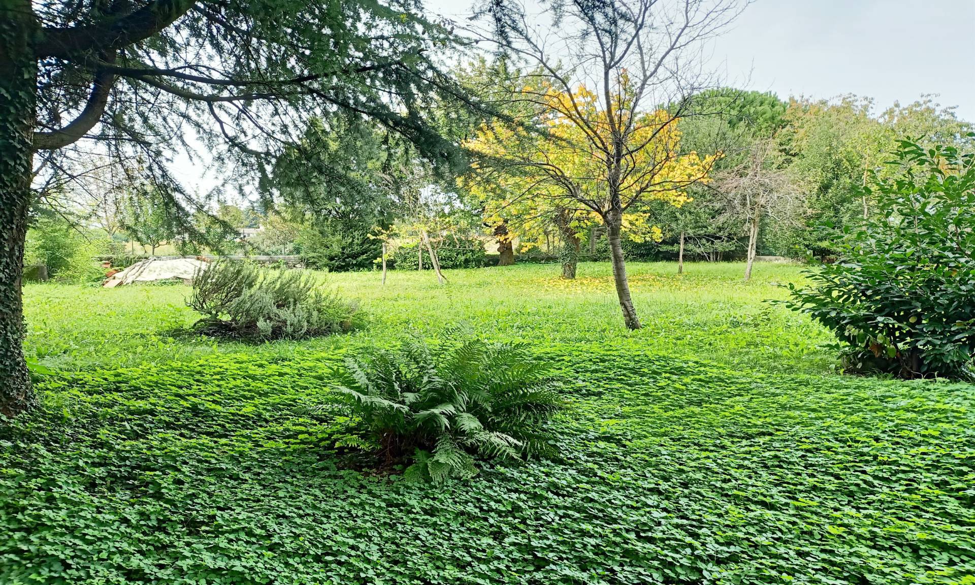 Villa MARTIGNACCO vendita  Torreano  il cottage