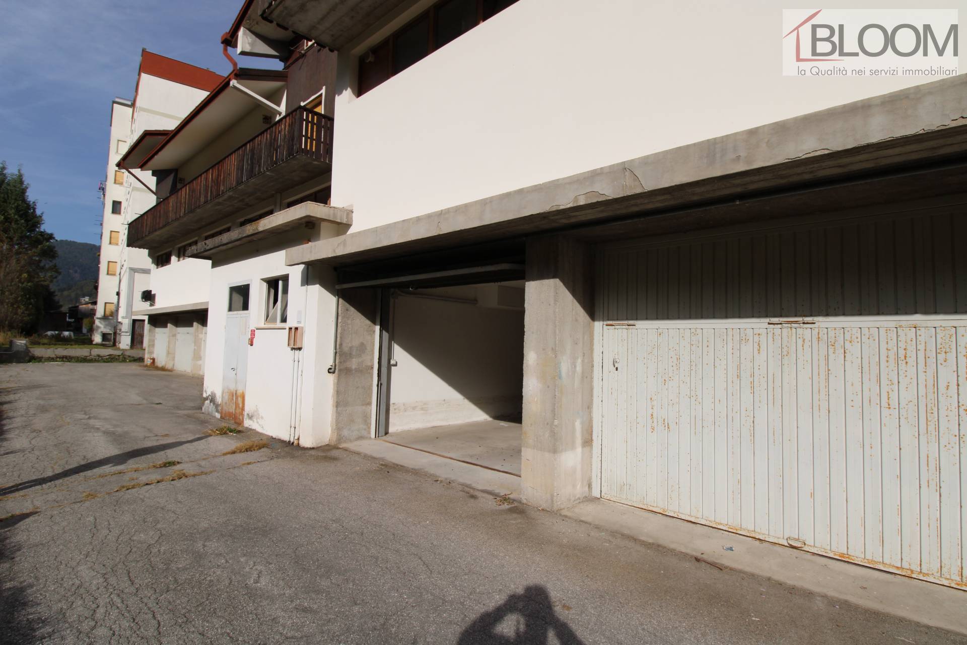 Appartamento in vendita a Pieve Di Cadore (BL)
