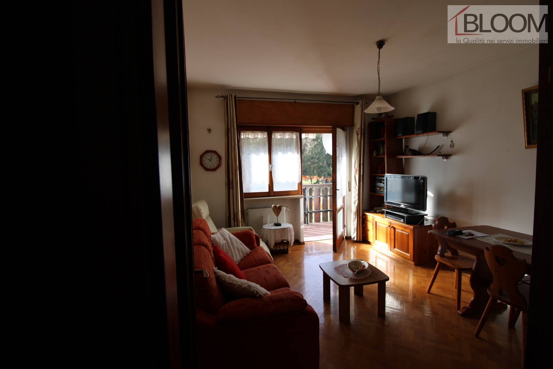 Appartamento in vendita a Pieve Di Cadore (BL)