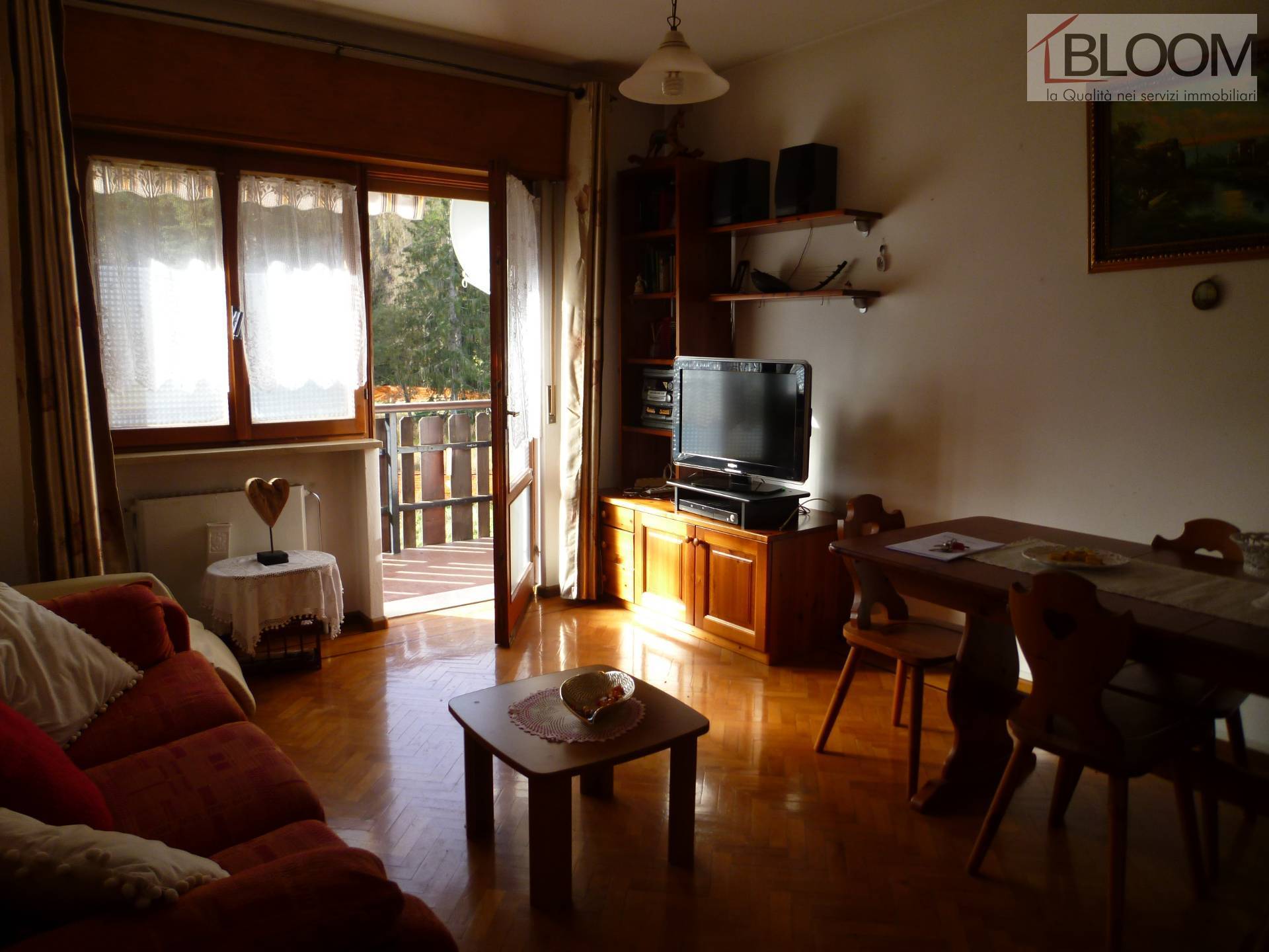 Appartamento in vendita a Pieve Di Cadore (BL)