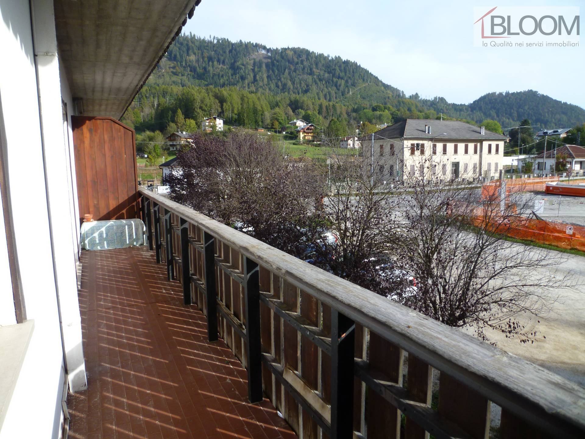 Appartamento in vendita a Pieve Di Cadore (BL)