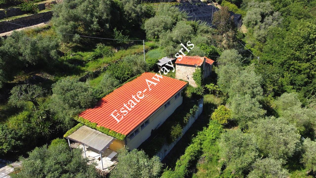 Villa in vendita a Vallebona (IM)
