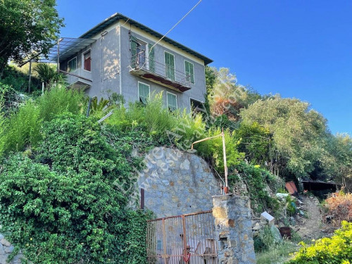 Casa singola in vendita a Vallebona