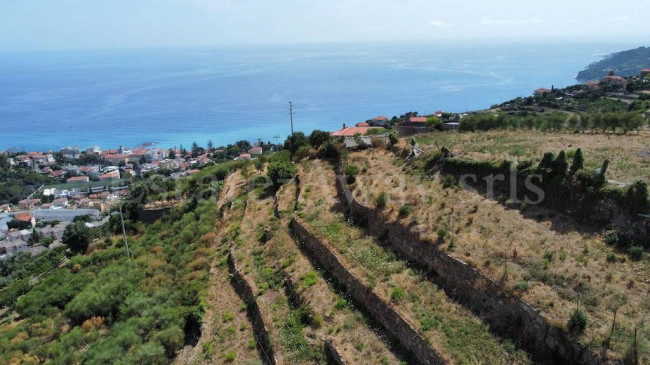 Terreno Agricolo in vendita a Ospedaletti