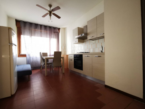 Appartamento 1 camera in Affitto a Mogliano Veneto