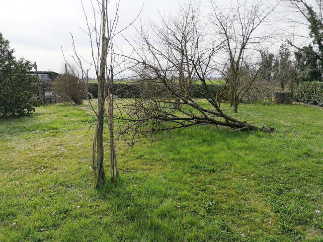 Villa in vendita a Lugo