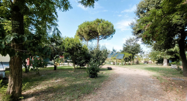 Appartamento indipendente con giardino in vendita a Argenta