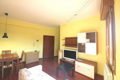 Appartamento in affitto a Argenta