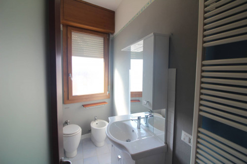 Appartamento in affitto a Argenta