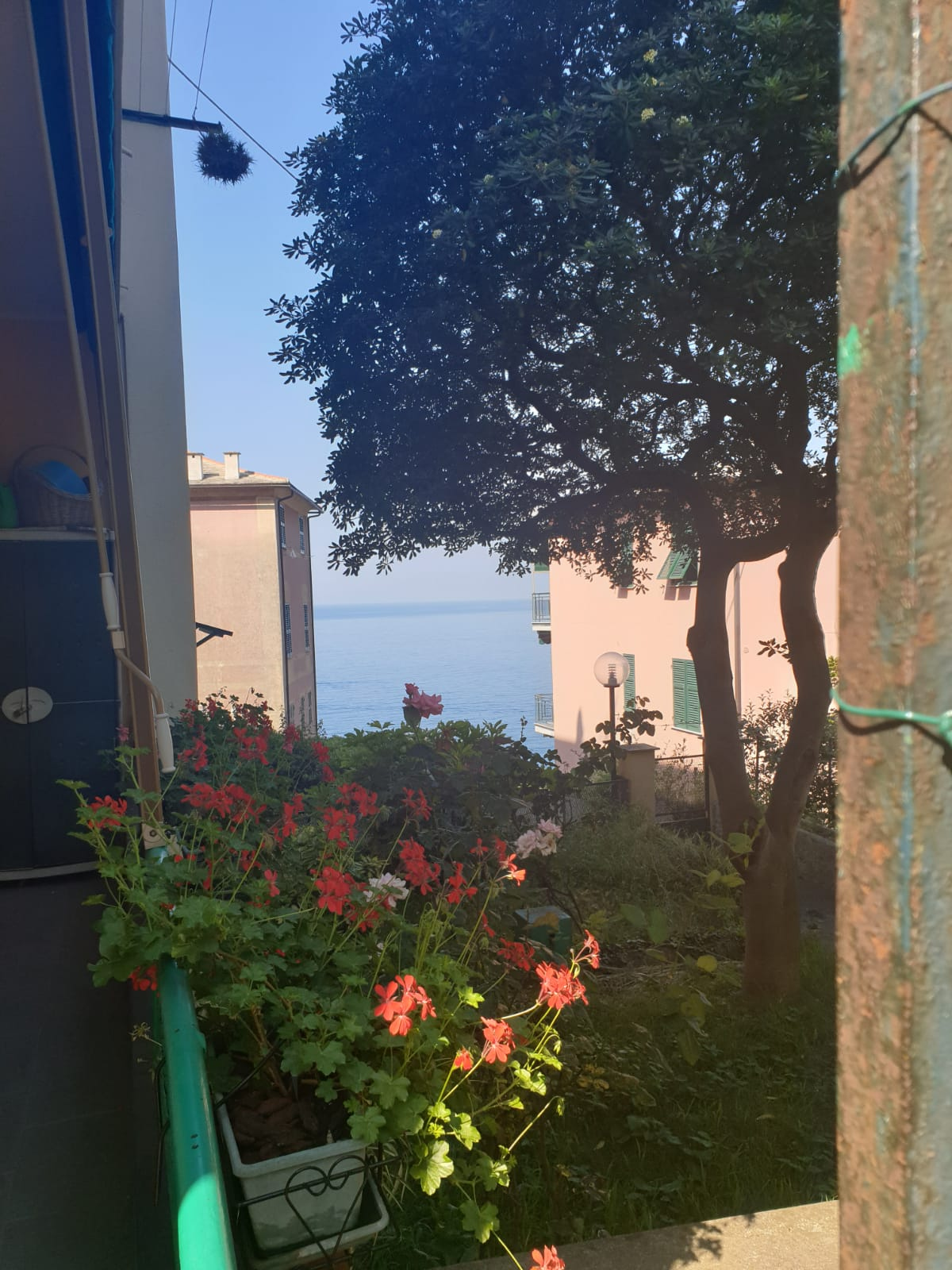 Appartamento