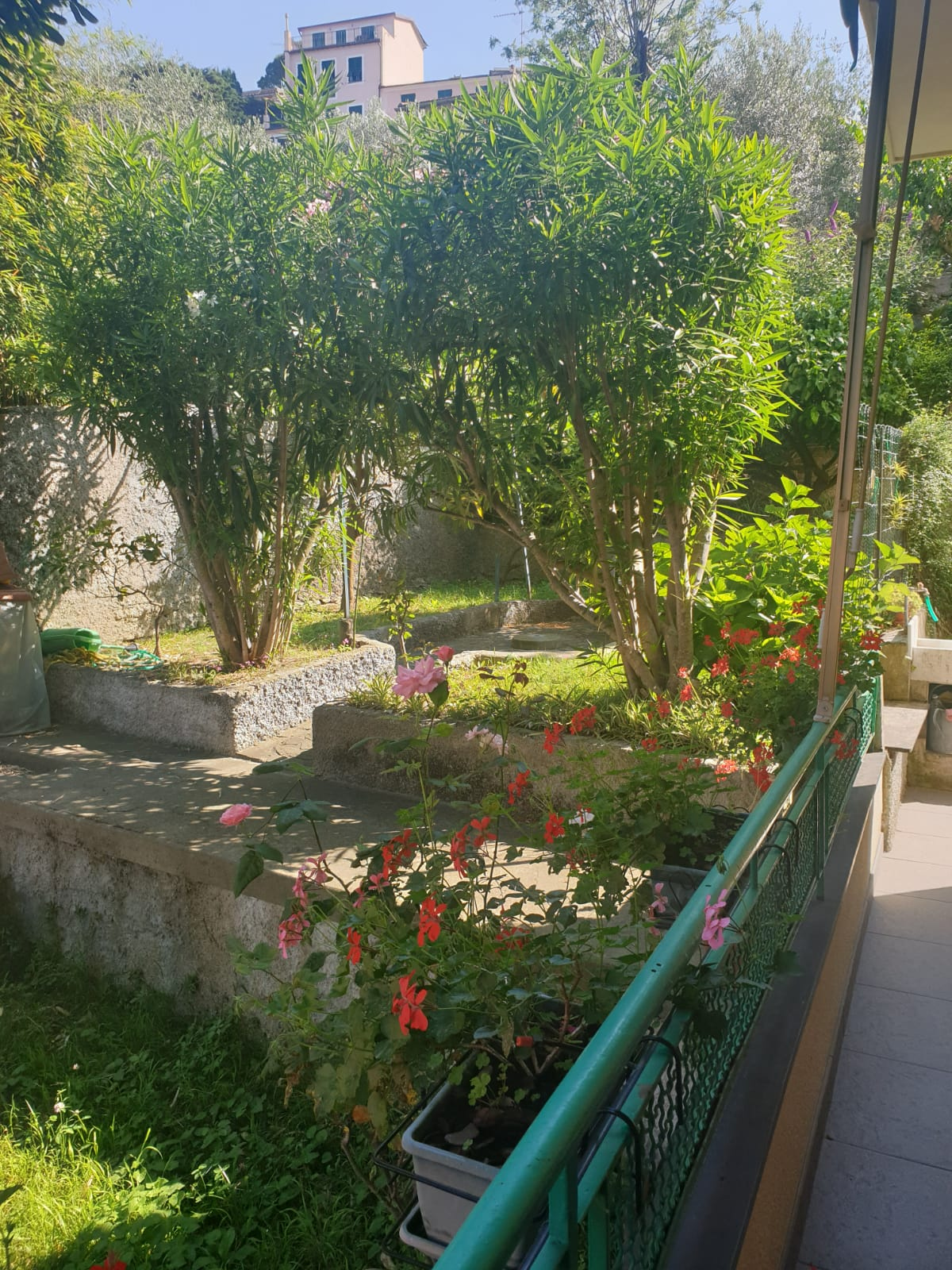 Appartamento