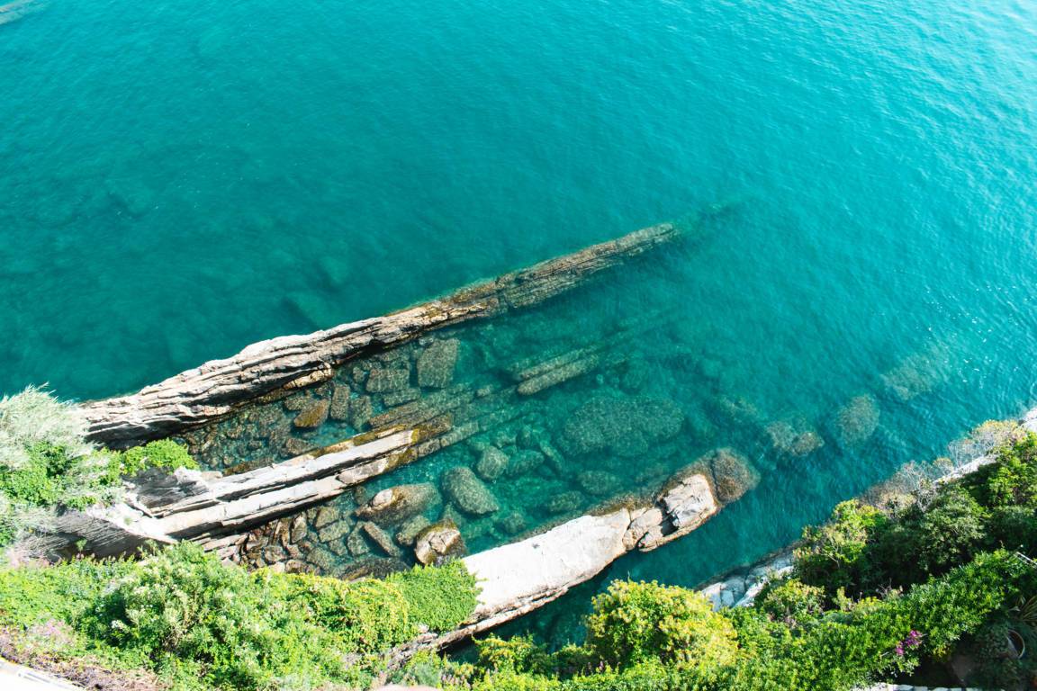 Appartamento CAMOGLI affitto    Camogli Case