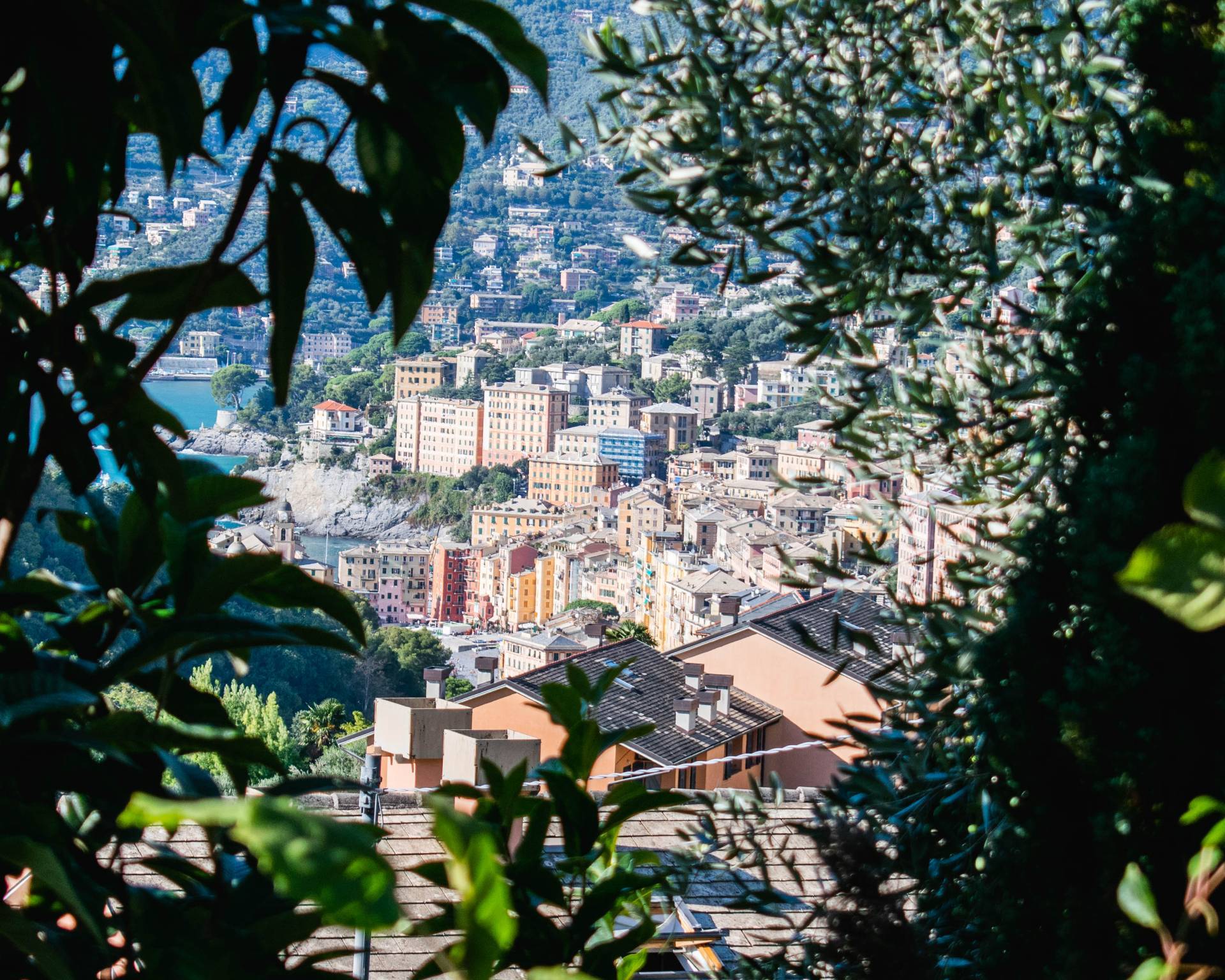  camogli vendita quart:  camogli case