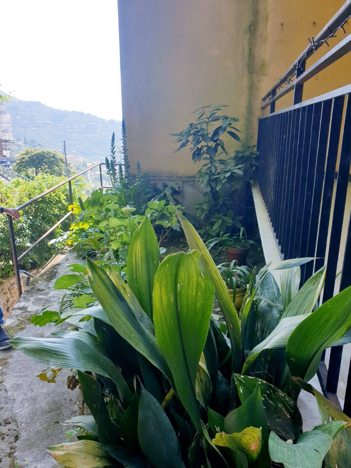 Appartamento