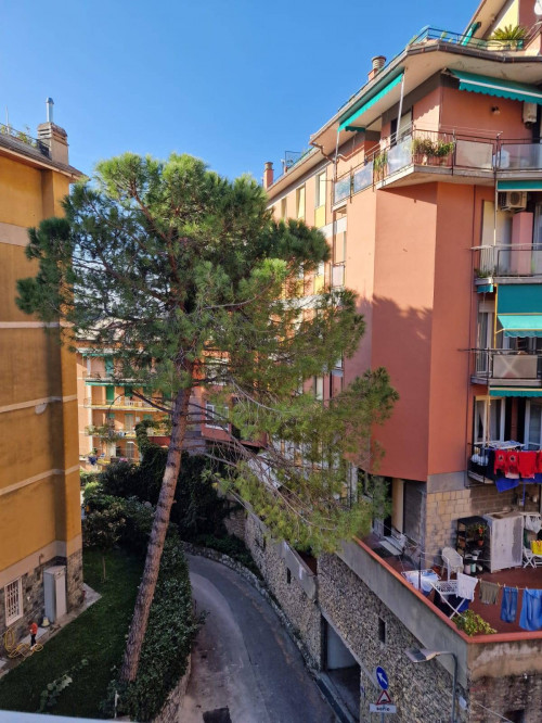 Appartamento in affitto a Camogli (GE)