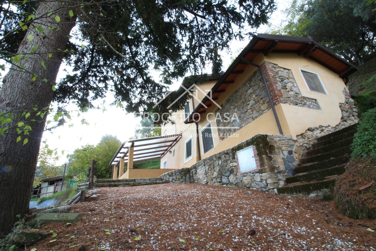 Rustico - Cascina CAMAIORE vendita  Collina  Progetto Casa Versilia