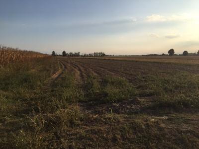 Terreno agricolo in vendita a Tuninetti, Carmagnola (TO)