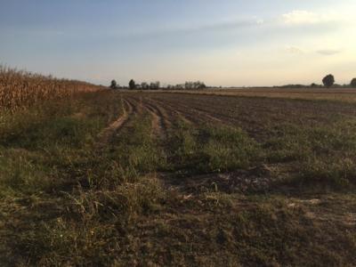 Terreno agricolo in vendita a Tuninetti, Carmagnola (TO)