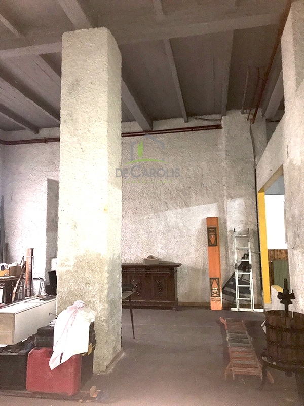 Villa Unifamiliare - Indipendente SAN BENEDETTO DEL TRONTO vendita    De Carolis Immobiliare