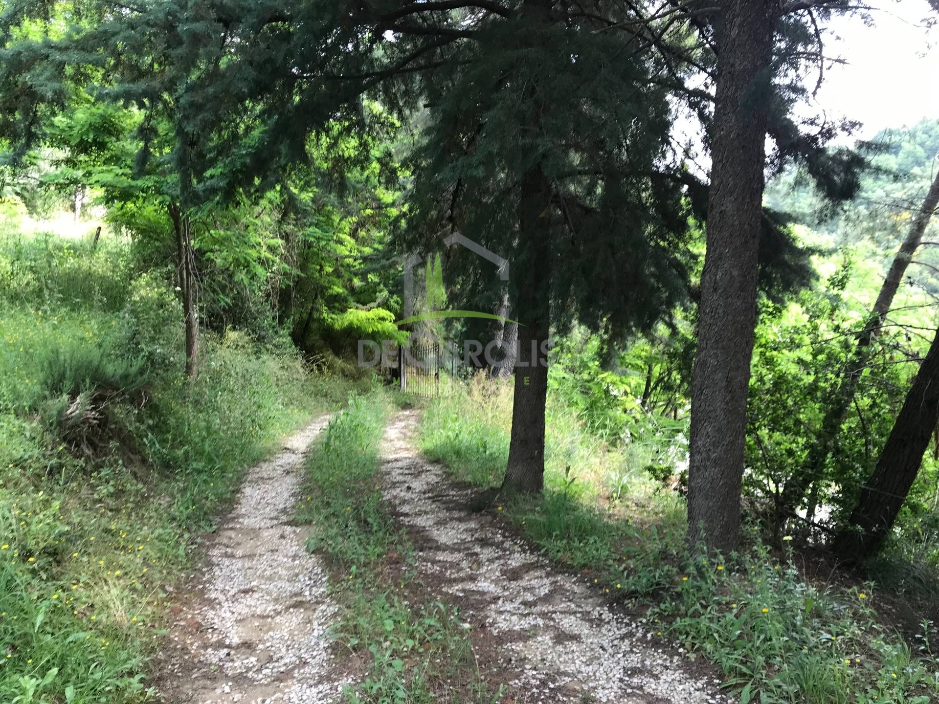 Terreno ASCOLI PICENO vendita  Valle Senzana  De Carolis Immobiliare