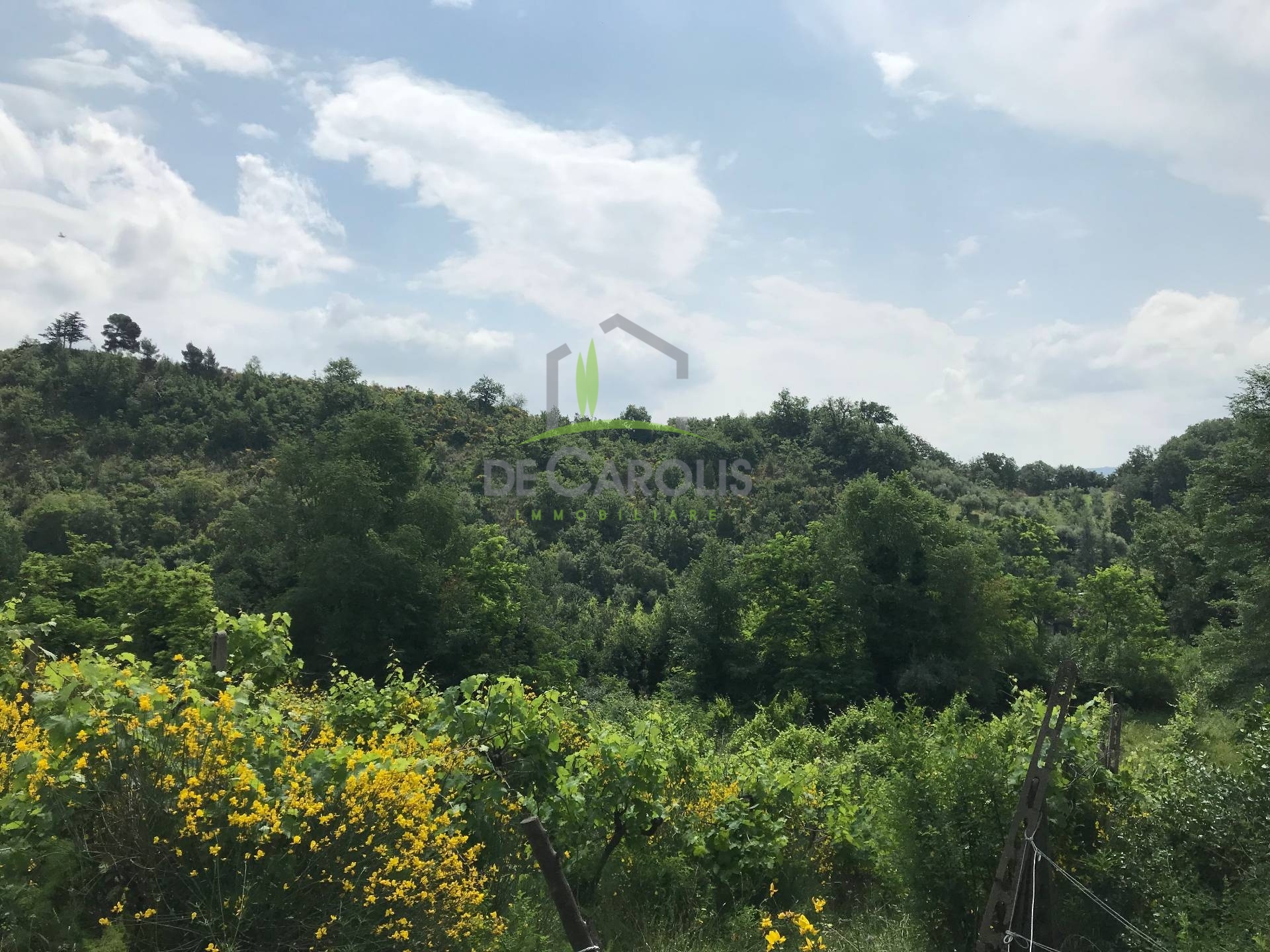 Terreno ASCOLI PICENO vendita  Valle Senzana  De Carolis Immobiliare