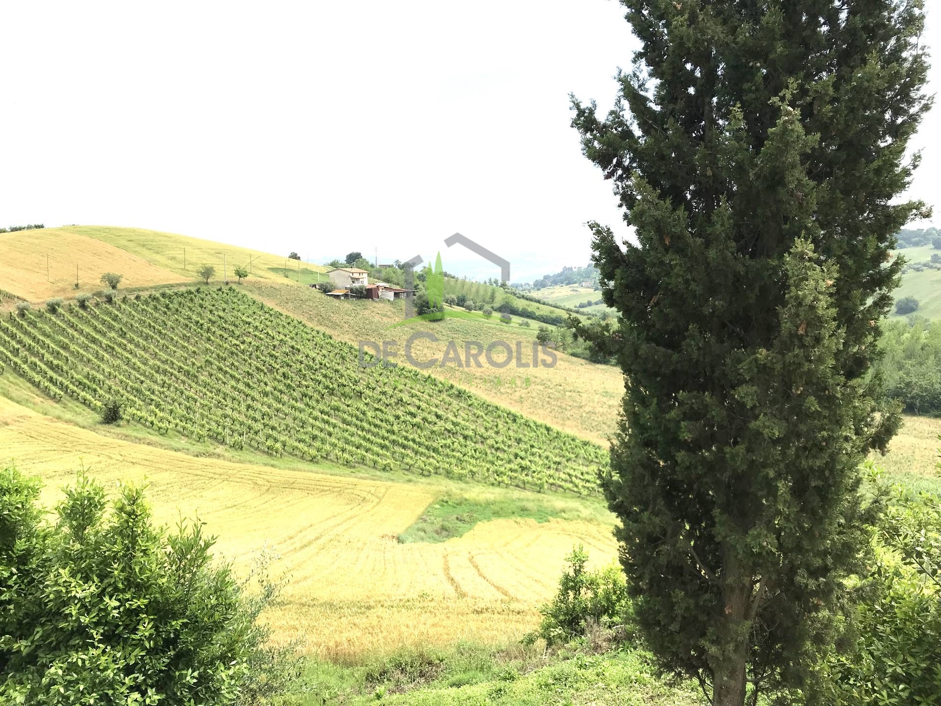 Villa Unifamiliare - Indipendente MONSAMPOLO DEL TRONTO vendita  Monsampolo  De Carolis Immobiliare