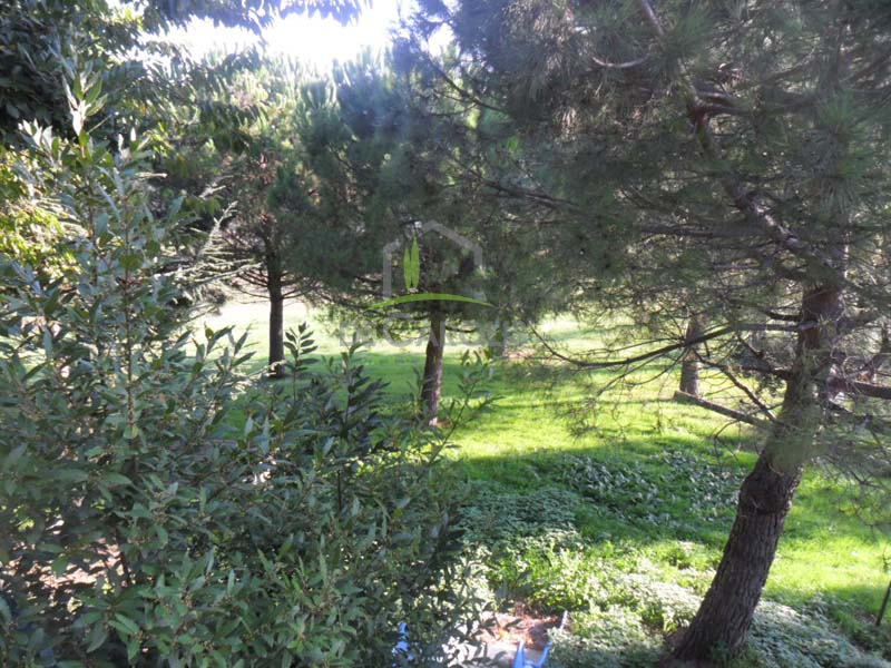 Villa Unifamiliare - Indipendente CASTIGNANO vendita  Ripaberarda  De Carolis Immobiliare