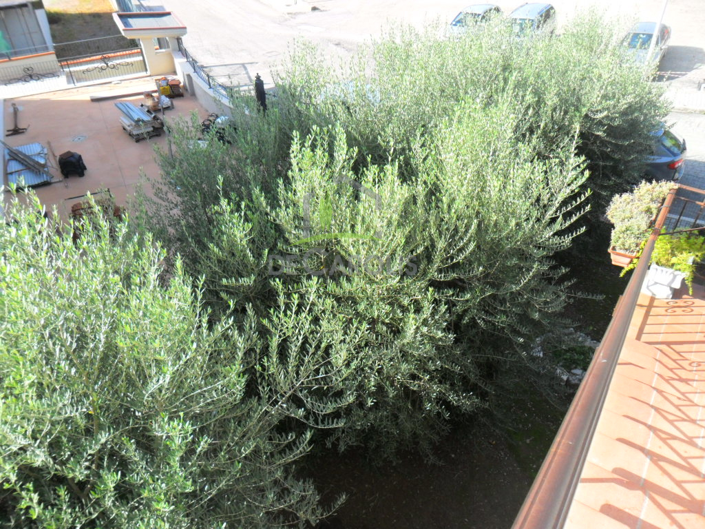 Villa Unifamiliare - Indipendente MONSAMPOLO DEL TRONTO vendita  Stella di Monsampolo  De Carolis Immobiliare