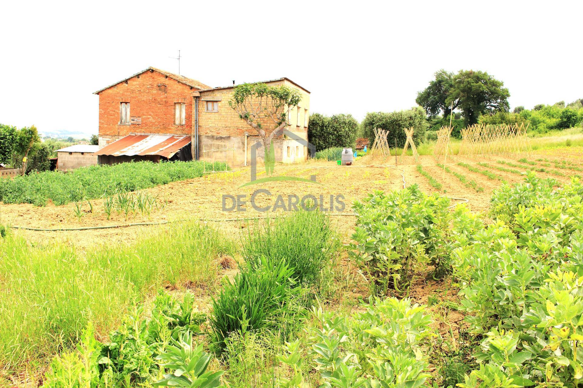 Villa Unifamiliare - Indipendente FOLIGNANO vendita  Piane di Morro  De Carolis Immobiliare
