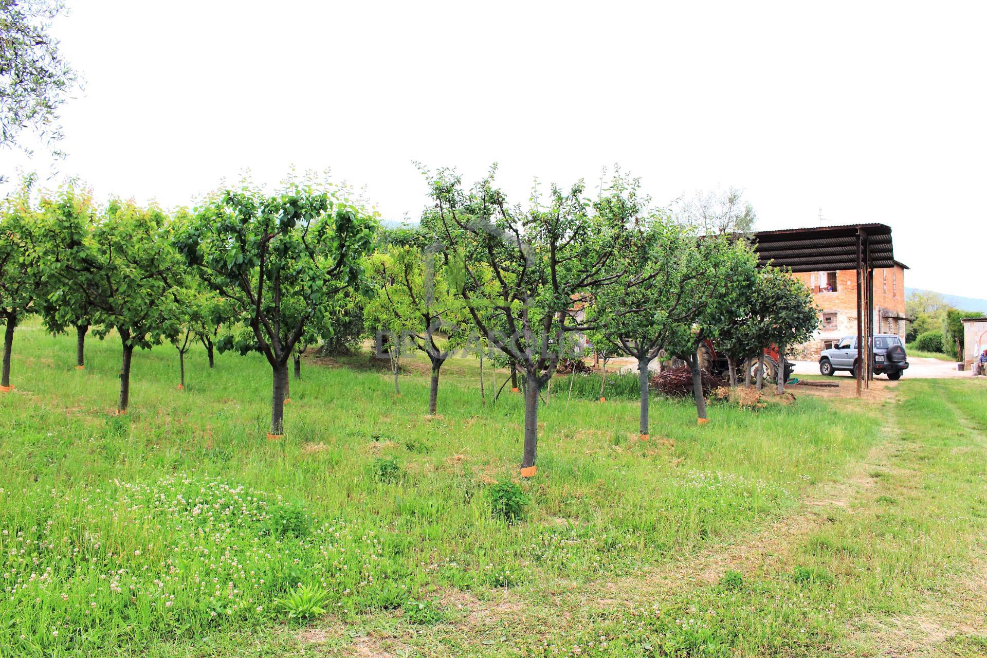 Villa Unifamiliare - Indipendente FOLIGNANO vendita  Piane di Morro  De Carolis Immobiliare