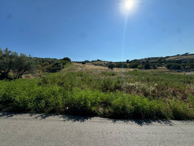 Terreno Agricolo in Vendita a Mosciano Sant'Angelo