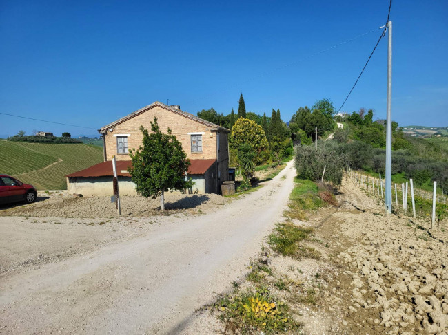 Azienda Agricola in Vendita a Acquaviva Picena