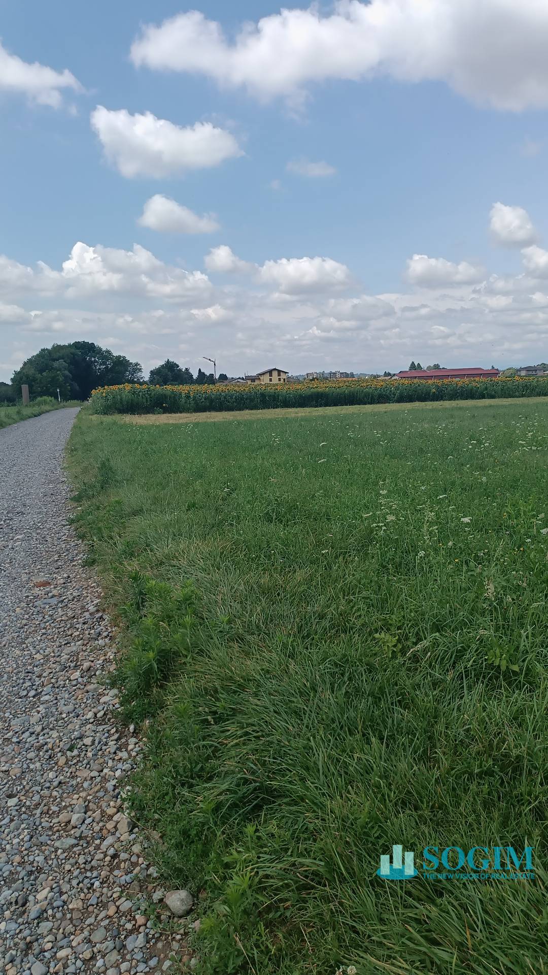 Terreno industriale in Vendita