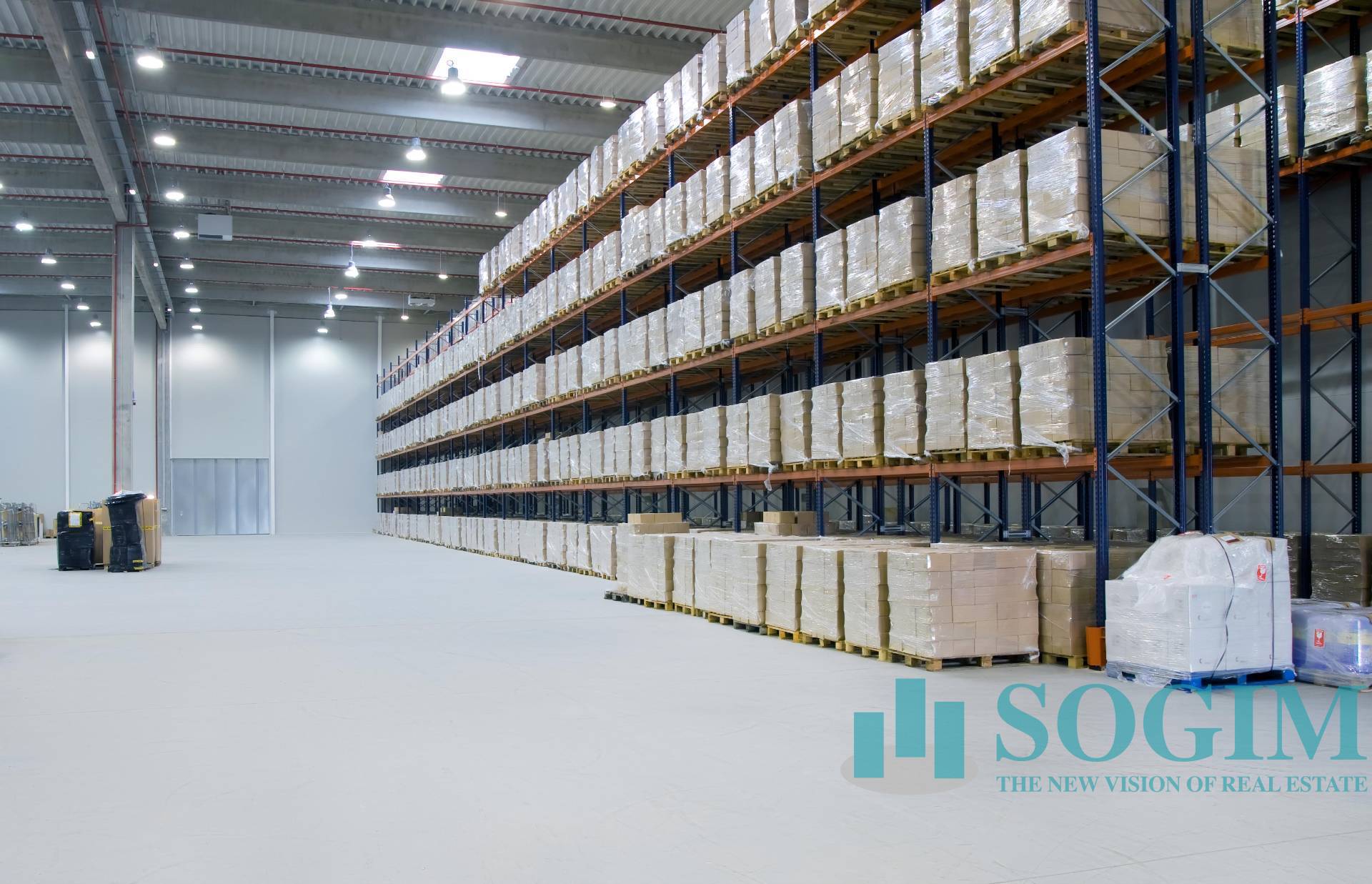 Logistica in Affitto