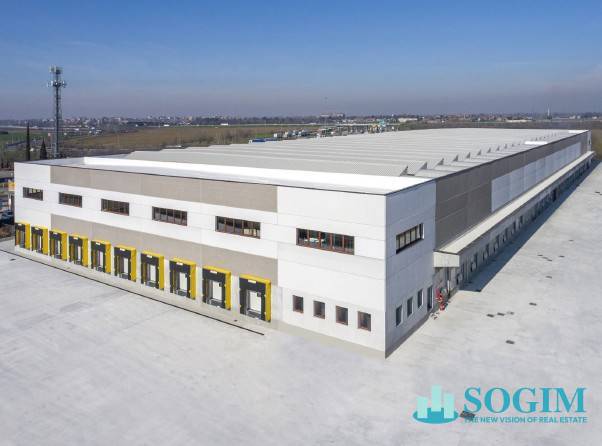 Logistica in Affitto