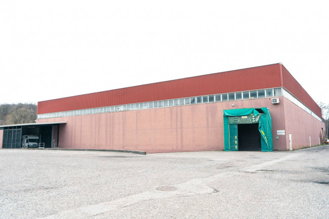 Capannone in Affitto a Colverde