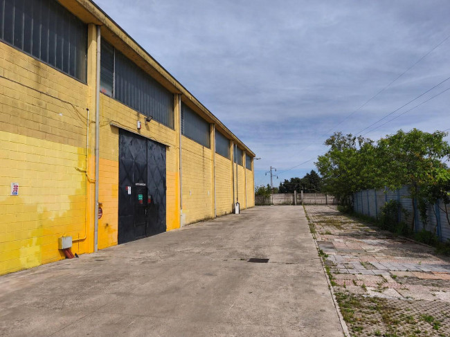 Shed for Rent in Tribiano