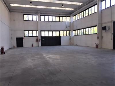 Capannone + Palazzina Uffici in Affitto a Zibido San Giacomo